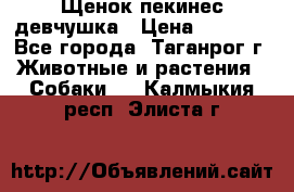 Щенок пекинес девчушка › Цена ­ 2 500 - Все города, Таганрог г. Животные и растения » Собаки   . Калмыкия респ.,Элиста г.